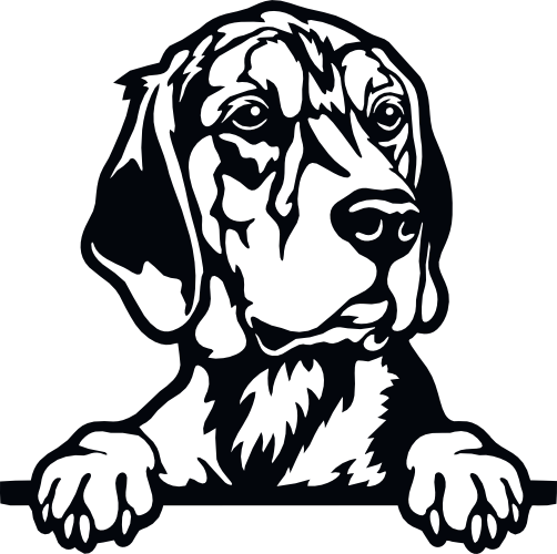 (s356-01-1A) Peeking Dog