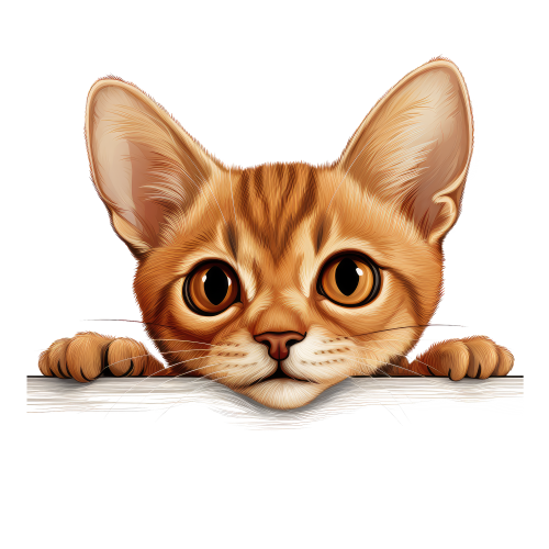 (s356-11-1A) Peeking Abyssinian Cat