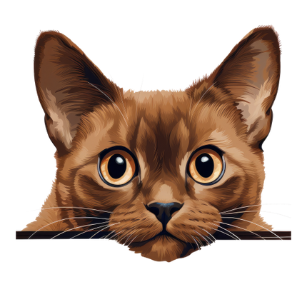 (s356-11-1F) Peeking Burmese Cat