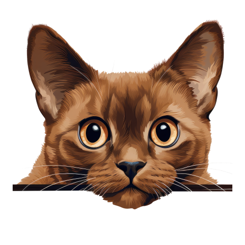 (s356-11-1F) Peeking Burmese Cat