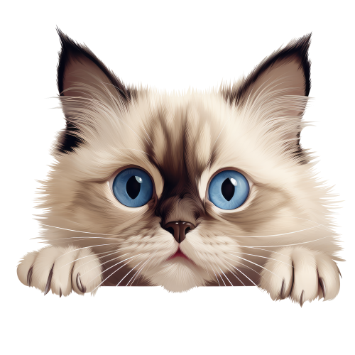 (s356-11-1N) Peeking Ragdoll Cat