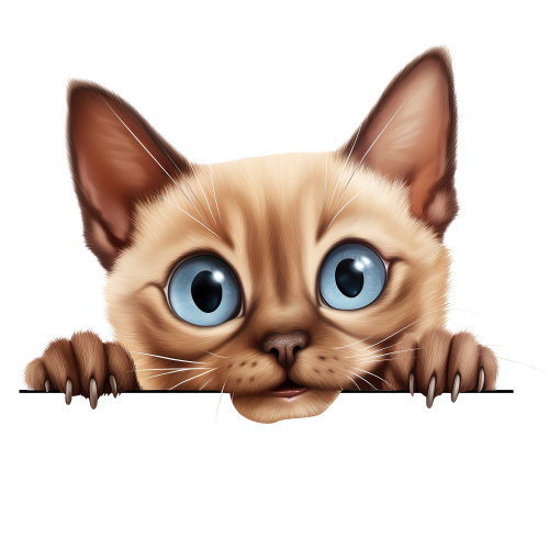 (s356-11-1T) Peeking Tonkinese Cat