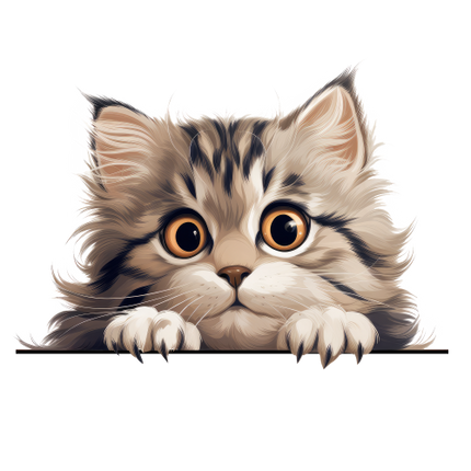 (s356-11-1V) Peeking American Curl Cat