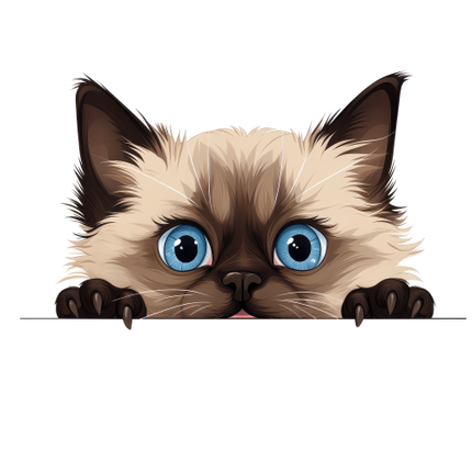 (s356-11-1W) Peeking Balinese Cat