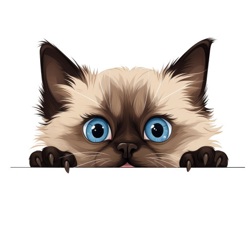 (s356-11-1W) Peeking Balinese Cat