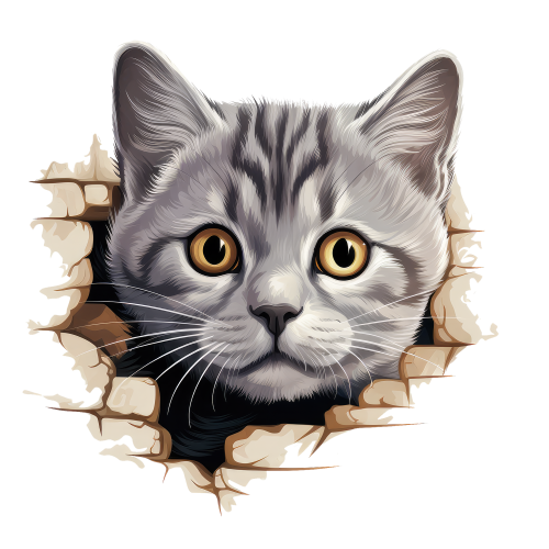 (s356-11-1Y) Peeking Burmilla Cat