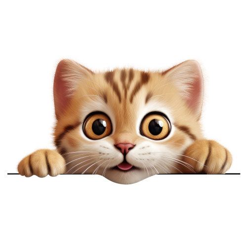 (s356-11-2E) Peeking Khao Manee Cat