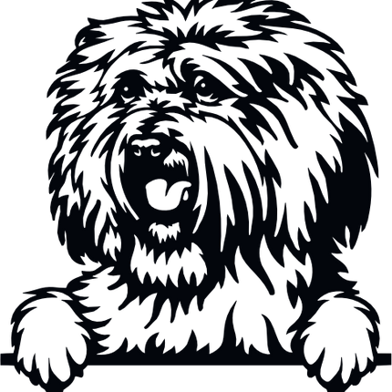 (s356-01-1B) Peeking Dog