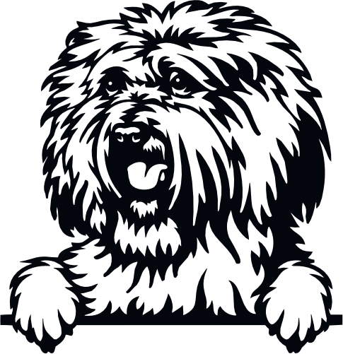 (s356-01-1B) Peeking Dog