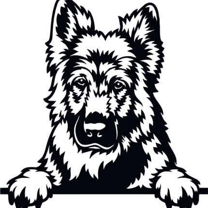(s356-01-1C) Peeking German Shepherd