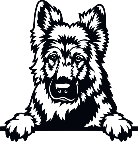 (s356-01-1C) Peeking German Shepherd