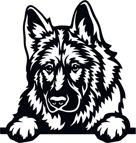 (s356-01-1D) Peeking German Shepherd