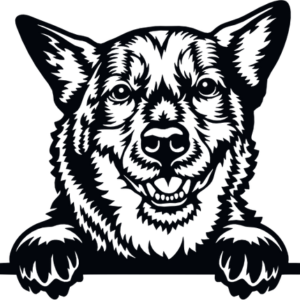 (s356-01-1E) Peeking Dog