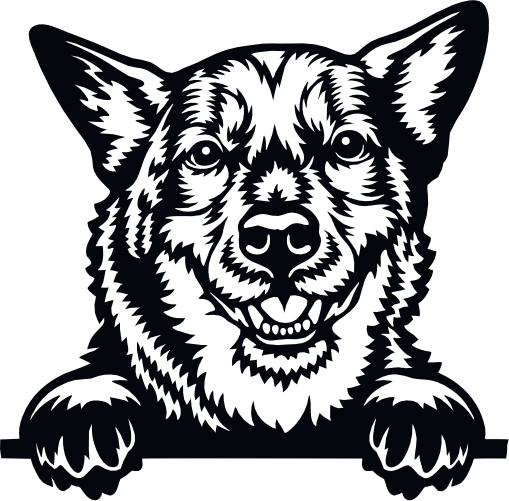 (s356-01-1E) Peeking Dog