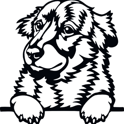 (s356-01-1G) Peeking Dog