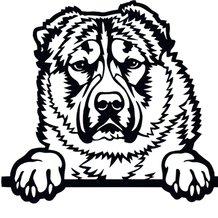 (s356-01-1H) Peeking Dog