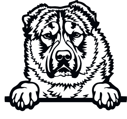 (s356-01-1H) Peeking Dog