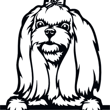 (s356-01-1J) Peeking Dog