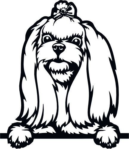 (s356-01-1J) Peeking Dog