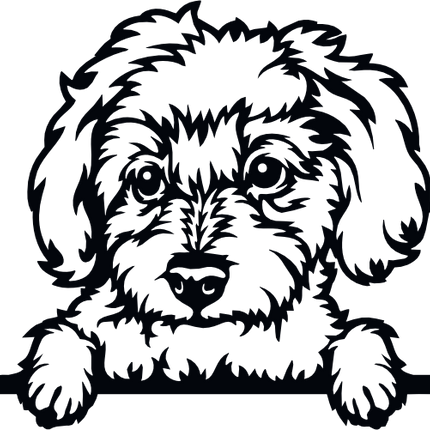 (s356-01-1K) Peeking Dog