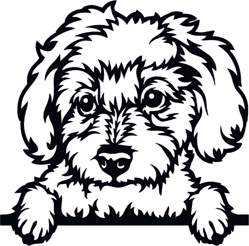 (s356-01-1K) Peeking Dog