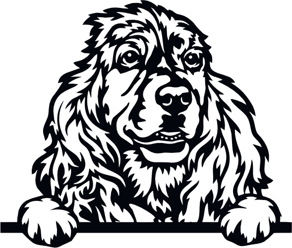 (s356-01-1L) Peeking Dog