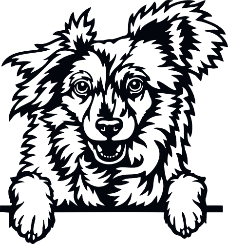 (s356-01-1M) Peeking Dog