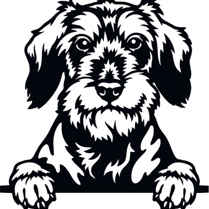 (s356-01-1N) Peeking Dog