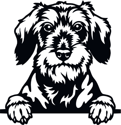 (s356-01-1N) Peeking Dog