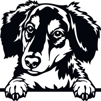 (s356-01-1O) Peeking Dog