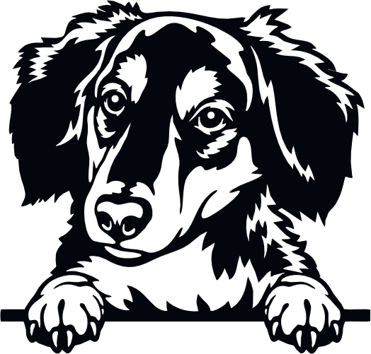 (s356-01-1O) Peeking Dog