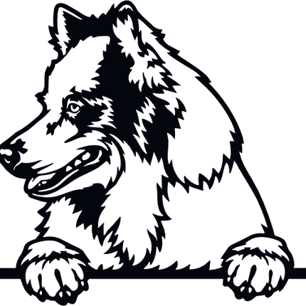 (s356-01-1Q) Peeking Dog