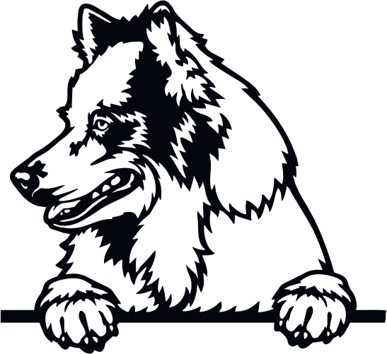 (s356-01-1Q) Peeking Dog