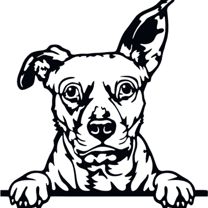 (356-01-1R) Peeking Dog