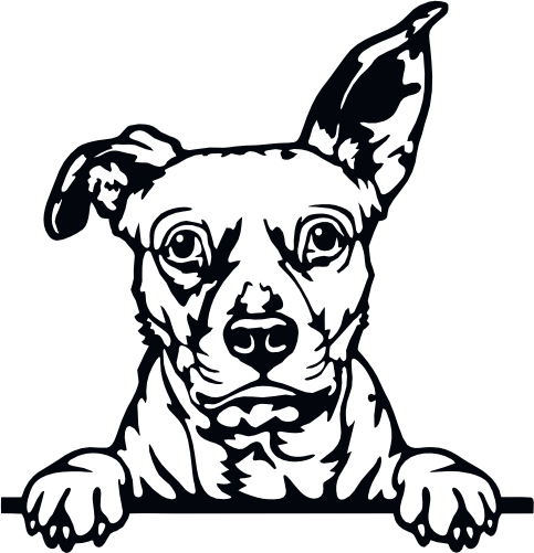 (356-01-1R) Peeking Dog