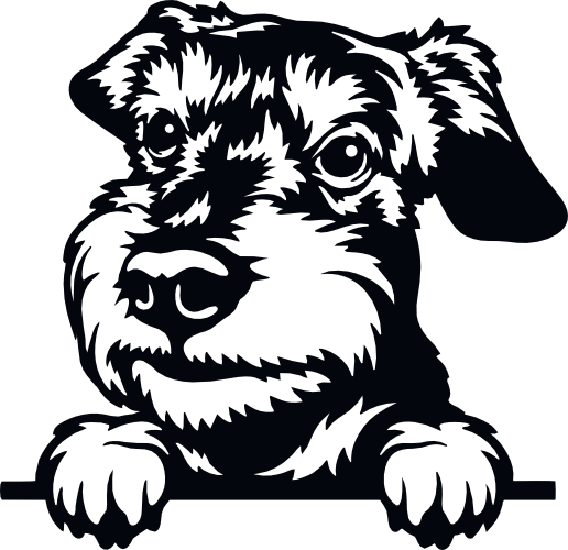 (s356-01-1S) Peeking Dog