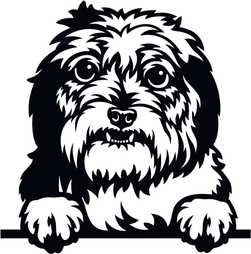 (s356-01-1U) Peeking Dog