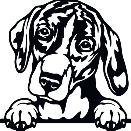 (356-01-1V) Peeking Dog