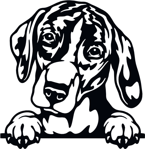 (s356-01-1V) Peeking Dog