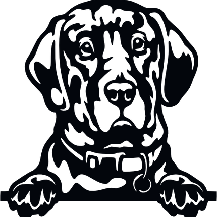 (356-01-1W) Peeking Dog