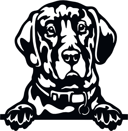 (s356-01-1W) Peeking Dog