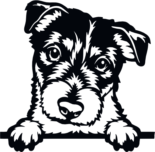 (s356-01-1X) Peeking Dog