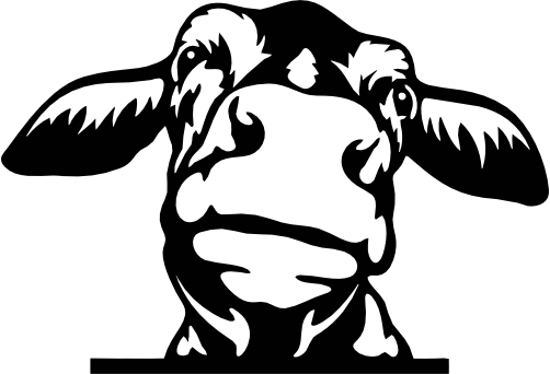 (356-02-1B) Peeking Cow