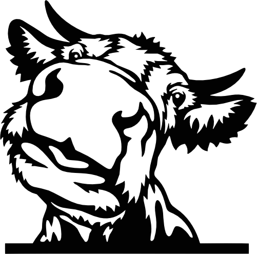 (356-02-1C) Peeking Cow