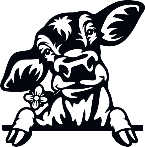 (356-02-1D) Peeking Cow Calf