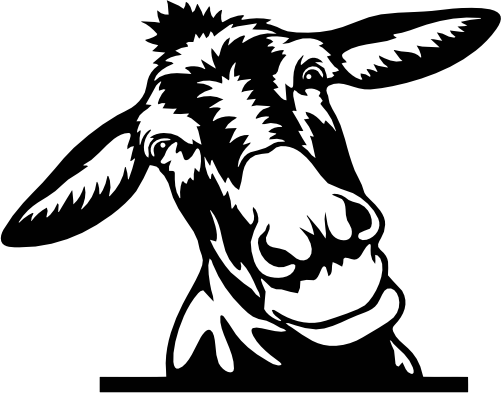 (356-02-1I) Peeking Donkey