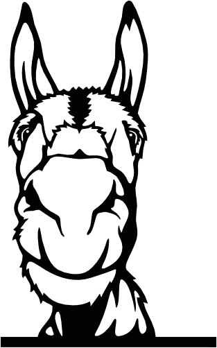 (356-02-1J) Peeking Donkey