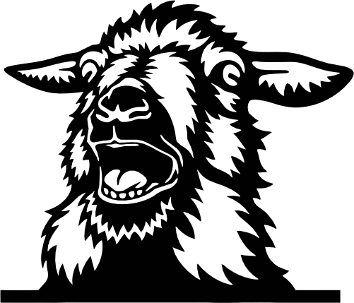 (356-02-1K) Peeking Sheep