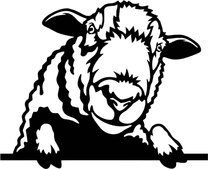 (356-02-1L) Peeking Sheep