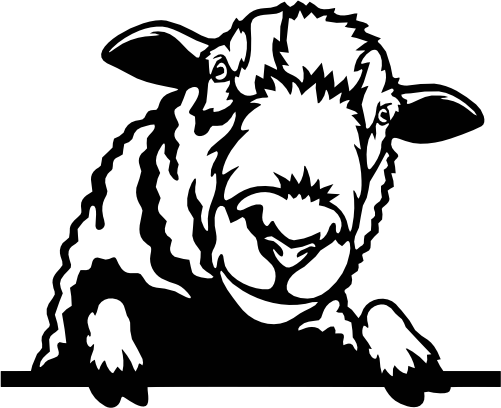 (356-02-1L) Peeking Sheep